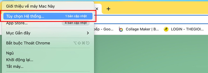 Mở Apple menu và chọn Tùy chọn hệ thống