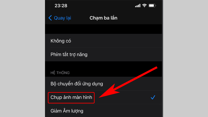 Tích vào chụp ảnh màn hình